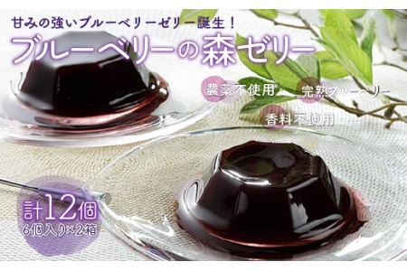 ＜甘みの強いブルーベリーゼリー誕生！＞ブルーベリーの森ゼリー12個 KT001