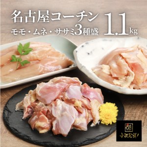 モモ ムネ ササミ 名古屋ｺｰﾁﾝ3種盛＜1.1kg＞大満足セット[001T03] 鶏肉鍋 コーチン鍋 地鶏鍋 冷凍鍋 鶏肉モモ 鶏肉ムネ 鶏肉ササミ 焼き鳥用鶏肉 親子丼用鶏肉 蒸し鶏用鶏肉 天ぷら