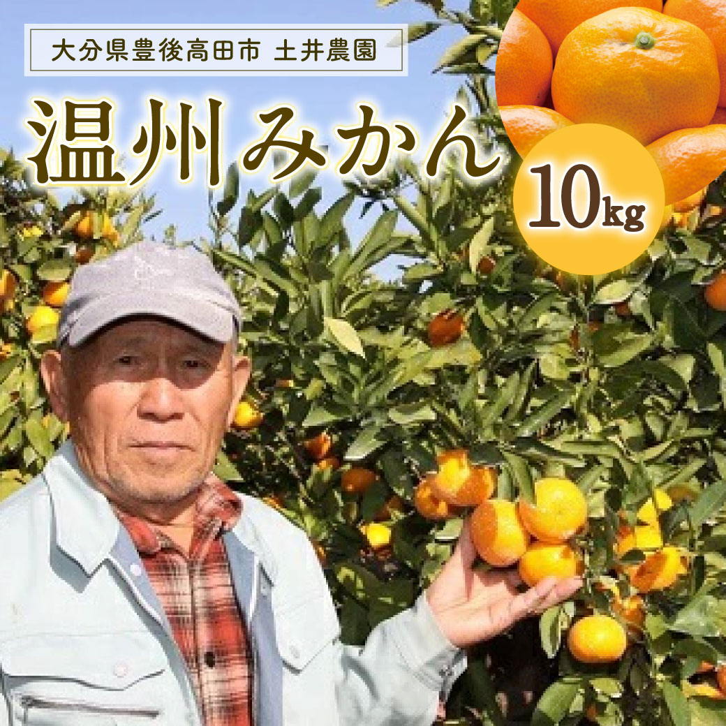 【ふるさと納税】先行予約 みかん 10kg 土井さんのみかん 柑橘 フルーツ 温州みかん ミカン 旬 果物 送料無料 産地直送 国産 食品
