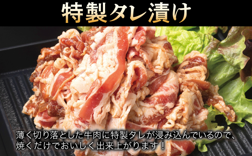 牛肉 切り落とし タレ漬け+塩麹漬け 合計1kg（250g×各2袋） 【味付け 小分け 焼くだけ 簡単調理 BBQ 牛肉 250g×4袋】 010B1670