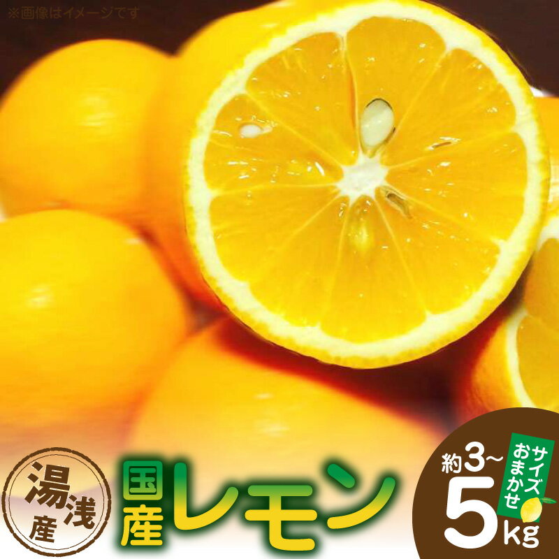【ふるさと納税】【限定】 レモン 湯浅町産 国産 選べる 内容量 約3kg 約5kg サイズおまかせ お取り寄せ 和歌山県 湯浅町 送料無料