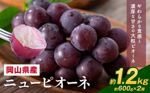 【先行予約】 岡山県産 ニューピオーネ詰合せ 選べる 計 1.2kg 株式会社はちや《8月下旬‐9月下旬頃出荷》岡山県 浅口市 ぶどう 葡萄 フルーツ ギフト 果物 デザート 国産 送料無料【配送不可地域あり】
