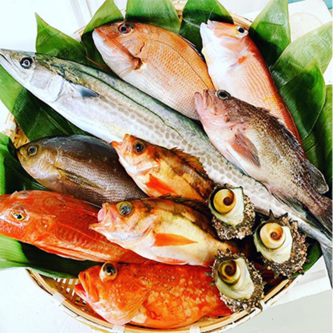 京都府宮津市産『朝どれ！山一鮮魚おおきに便』約4?5kg 魚介類 セット 産地直送 鮮魚 内臓処理加 鮮度抜群 冷蔵 詰め合わせ 旬 鯛