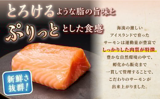 【TOWA SALMON】アトランティック サーモン 1.6kg 鮭 サーモン さけ シャケ しゃけ sake カルパッチョ ソテー レアステーキ 人気 高級 大満足 美味しい 贈答 生食用 刺身 お