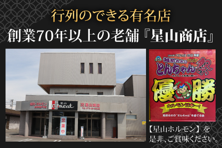【全国ホルモン大会初代優勝】 星山ホルモン 白 ホルモン 1.2kg 使い方いろいろ (300g×4袋)(たれ付) 【行列のできるお店】