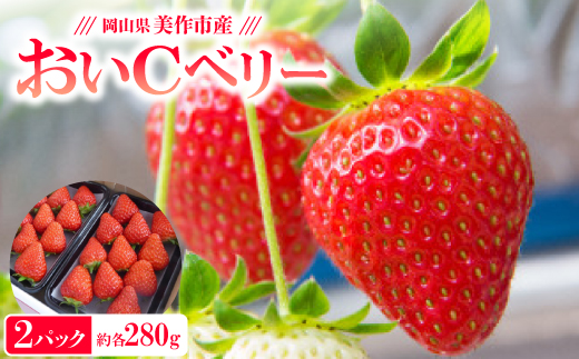 岡山県美作市産　おいCベリー(約280g×2パック)【配送不可地域：離島・北海道・沖縄県】