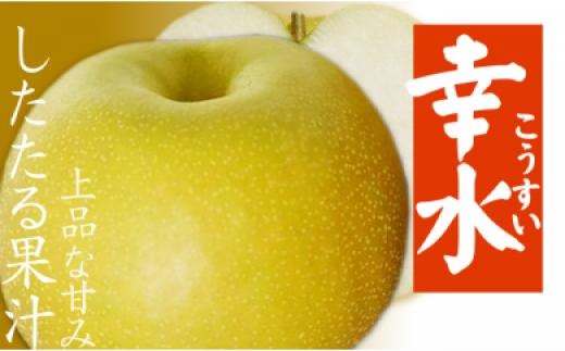 
            “したたる果汁、上品な甘み”愛媛・八幡浜産・特産梨「幸水」約3kg＜C28-12＞_ なし 梨 幸水 果物 くだもの フルーツ ふるーつ 青果 果実 ブランド 旬 ジューシー 果汁 愛媛 甘い 【1114964】
          
