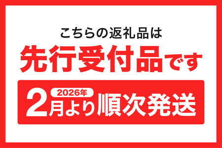 951アイスクリーム　バルクアイス2L×１個（北海道ミルク） | アイス さっぱり ミルク 北海道 札幌市