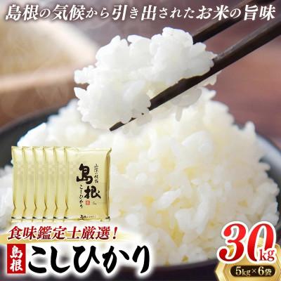 ふるさと納税 安来市 食味鑑定士厳選　島根こしひかり 30kg(5kg×6袋)(安来市)