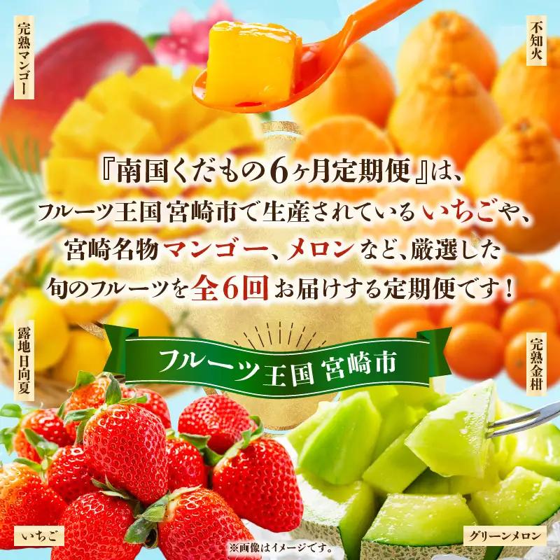 フルーツ 果物 フルーツ[2027年発送先行予約 定期便 6ヶ月]