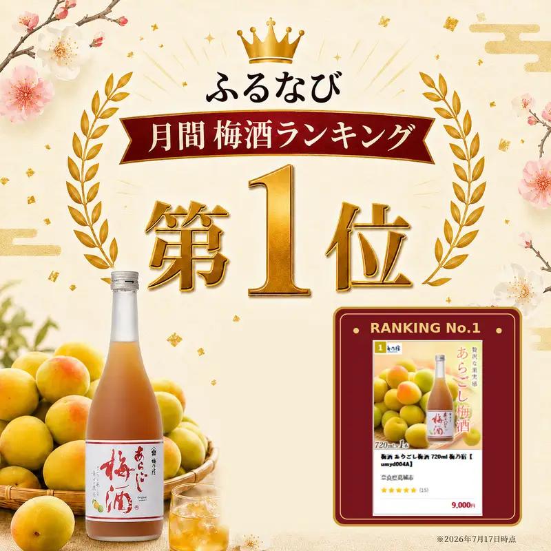 梅酒 あらごし梅酒 720ml 梅乃宿【umyd004A】
