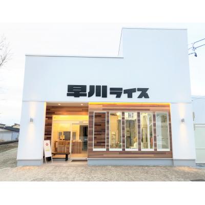ふるさと納税 長井市 【令和7年産新米】早川ライスの山形県産「つや姫」精米5kg×1袋_A162(R7) |  | 02
