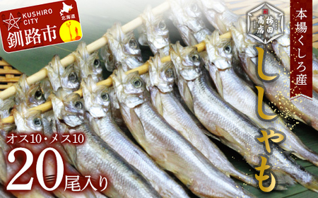 【期間限定！寄附額改定↓！】本場くしろ産 ししゃもオス・メス20尾入り！ 本ししゃも 魚 ししゃも 魚好きのオス プチプチたまごのメス 魚介 グルメ シシャモ 北海道産 国産 魚 魚介 海の幸 F4F-9163