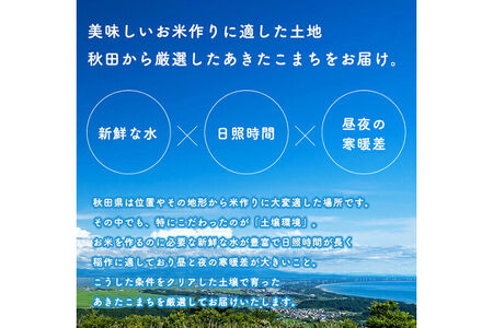 《定期便4ヶ月》【新米】 あきたこまち 3kg×1袋【5分づき】令和7年産 秋田県産 こまちライン