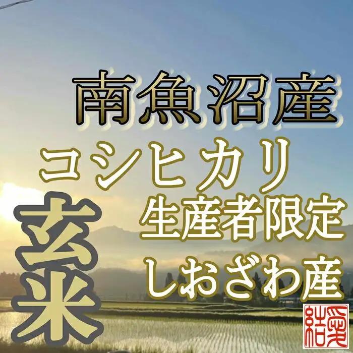 【令和7年産】【定期便】玄米 南魚沼しおざわ産コシヒカリ4Kg×12ヶ月【定期便 銘柄米 ブランド米 玄米 こしひかり コシヒカリ 魚沼産 新潟米 産地直送 お米 米 こめ コメ ご飯 御飯 ごはん】