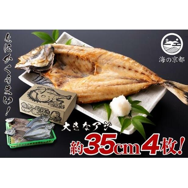 大きな大きなアジ一夜干し　(大：35cm程) 魚貝類 魚 一夜干し あじ アジ 鯵 大きめ 干物 ひもの セット 日本酒