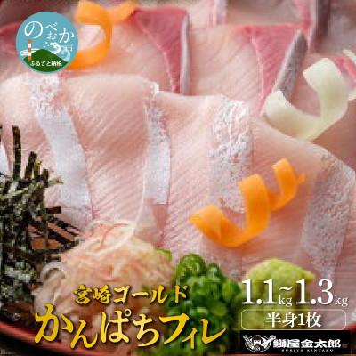 ふるさと納税 延岡市 宮崎産 宮崎ゴールドかんぱちフィレ 半身1枚1.1kg〜1.3kg(冷蔵)