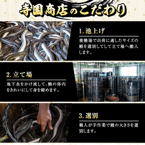 【定期便12回】大隅特産うなぎ蒲焼５尾（850g）【国産】 2490