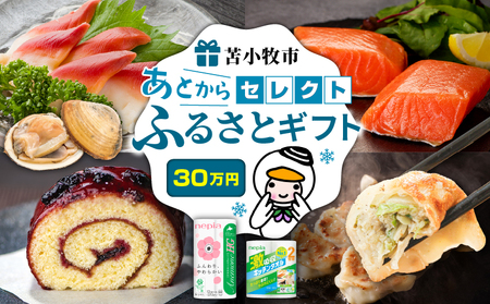 あとから セレクト 【 ふるさと ギフト 】 30万円 T000-000-13 肉 お肉 肉加工品 牛 豚 鶏 魚 お魚 魚介類 水産加工品 日用品 雑貨 惣菜 総菜 野菜 工芸品 伝統工芸品 菓子 お菓子 果物 あとから選べる 選べる 北海道 ふるさと納税 苫小牧市 おすすめ ランキング プレゼント 