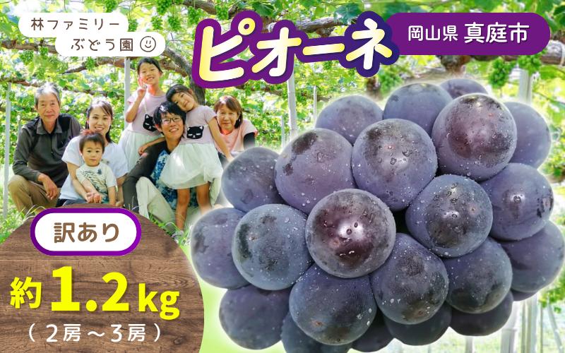 
            【訳あり】岡山県産 林ファミリーのピオーネ 約1.2kg（約2～3房） 【2025年先行予約】 / ご家庭用 岡山 真庭市 ぶどう 果物 フルーツ
          