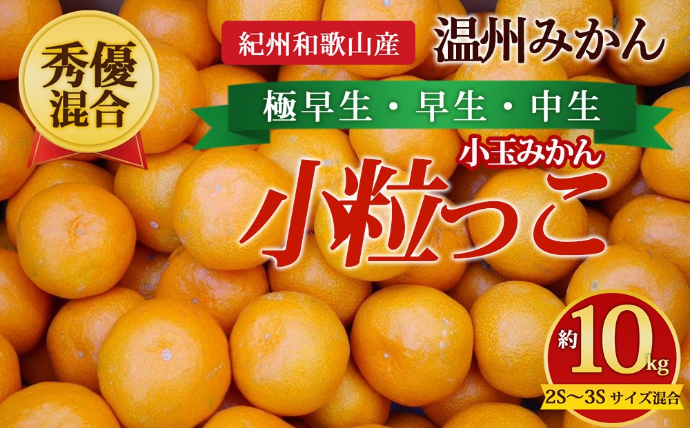 
                  【先行予約】【秀優混合】紀州和歌山産 温州みかん「小粒っこ」約10kg（箱込み）2S～3S サイズ混合 小玉みかん（極早生・早生・中生）
                
