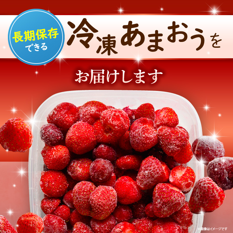 【数量限定】福岡県産あまおう（冷凍1kg）特別栽培_急速冷凍 いちご あまおう 1kg 冷凍 3Dフリーザー 長期保存可能 国産 サクサク シャーベット フルーツ デザート フレッシュ 果物 便利 安