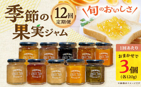 【12回定期便】季節の果実ジャム 3個（各120g） 長与町/アグリューム[EAI091]