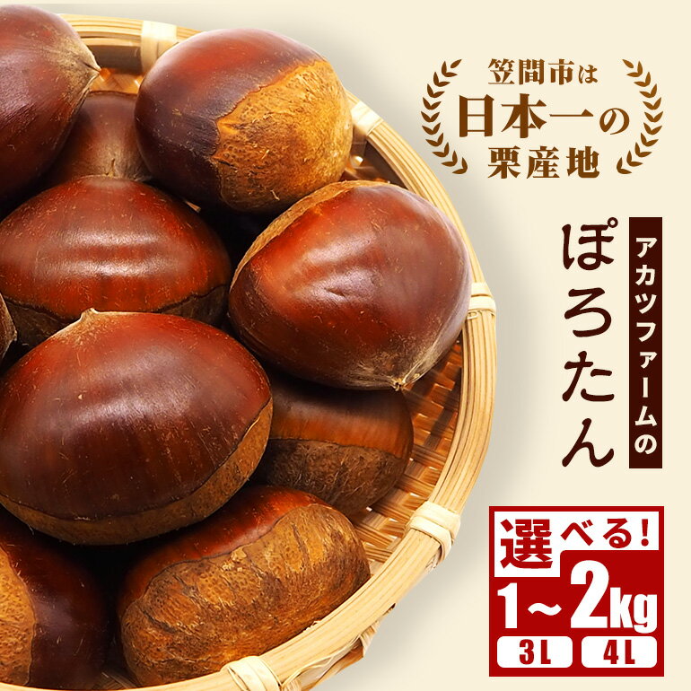 【ふるさと納税】【2025年 秋 先行予約】生栗 栗 ぽろたん 選べる サイズ(3L 4L) 内容量(1kg 2kg) 国産 国産栗 和栗 ギフト プレゼント 秋 旬 おやつ スイーツ 果物 フルーツ 焼き栗 栗ご飯 栗きんとん 栗おこわ アカツファーム 笠間 栗生産量 日本一 いばらき