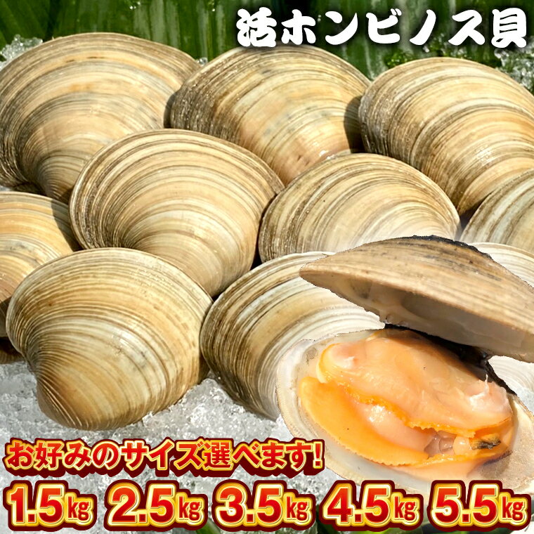 【ふるさと納税】貝 ホンビノス おすすめ 白はまぐり あさり 計1.5kg 2.5kg 3.5kg 4.5kg 5.5kg S M L LL 冷蔵 魚介 海鮮 シーフード 国産 浜焼き BBQ バーベキュー アウトドア キャンプ 漁師直送 産地直送 クラムチャウダー パスタ 天ぷら 酒蒸し 容量 サイズ選べます