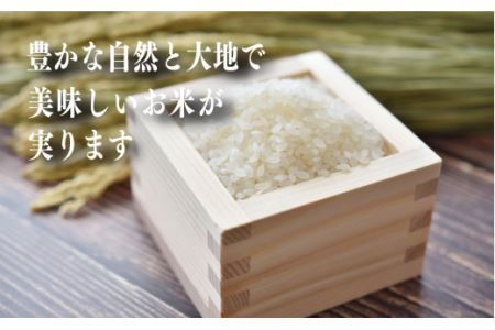 令和7年産 奈良のお米セット 食べ比べセット (奈良県産 ヒノヒカリ 5kg × 2 コシヒカリ 5kg ) 計15kg | お米 ライス 新米 ヒノヒカリ コシヒカリ 奈良県 平群町