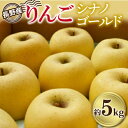 【ふるさと納税】長野県産　りんご「シナノゴールド」約5kg　【2024年10月より発送】【1052288】