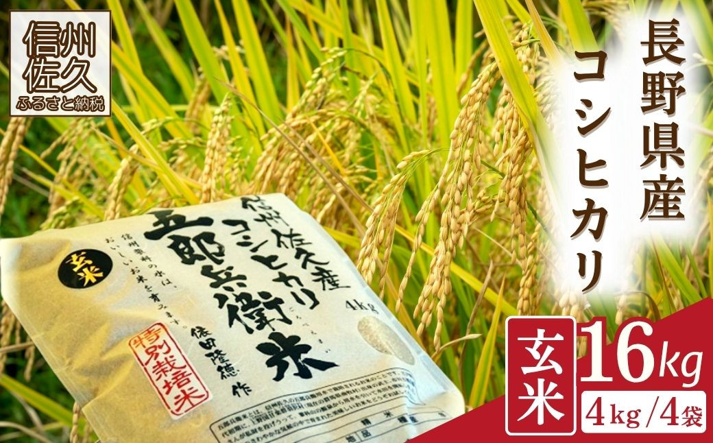 
                  【令和8年産・玄米16kg（4kg×4袋）】特別栽培米　五郎兵衛米 〈2026年9月下旬頃～順次発送〉 先行予約　新米　信州　こしひかり【 米 コメ 玄米 お米 こめ おこめ 予約 備蓄品 コシヒカリ 長野県 佐久市 】
                