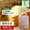 【ふるさと納税】【令和5年産米】隔月定期便（計3回）　JAS有機米　天のつぶ（白米）　5kg×3回 計15kg【30052】