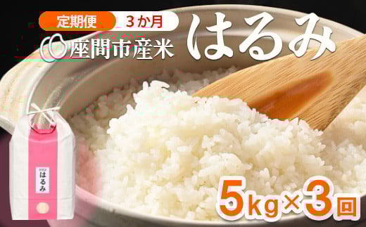 
            【定期便】3か月 座間市産米 はるみ5kg×3回 ※離島への配送不可 ※2025年10月下旬頃より順次発送予定
          