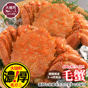 【令和9年発送】三陸産！活毛ガニセット 400g×2杯【08】【2027年2月～4月発送】【配送日指定不可】