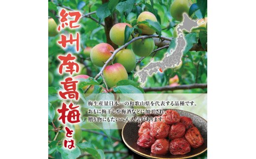 紀州南高梅　木箱入り　南紀老梅【ハチミツ入】 塩分10%（1.5kg）なかやまさんちの梅干 梅干し 梅干 梅 訳あり はちみつ 蜂蜜【nky012-15k】