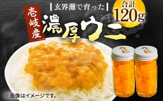 壱岐産 濃厚 ウニ 60g ×2本《壱岐市》【合同会社塚元】ムラサキウニ 海産物 海鮮 うに 雲丹 珍味 [JDR022] 30000 30000円