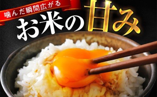【6月発送】小浜市産コシヒカリ 精米 10kg 若狭の自然が育てたごはん 国産米 福井県 / 白米  地域密着 米問屋 小浜市 / 梅田東米穀店 [BFEK007]