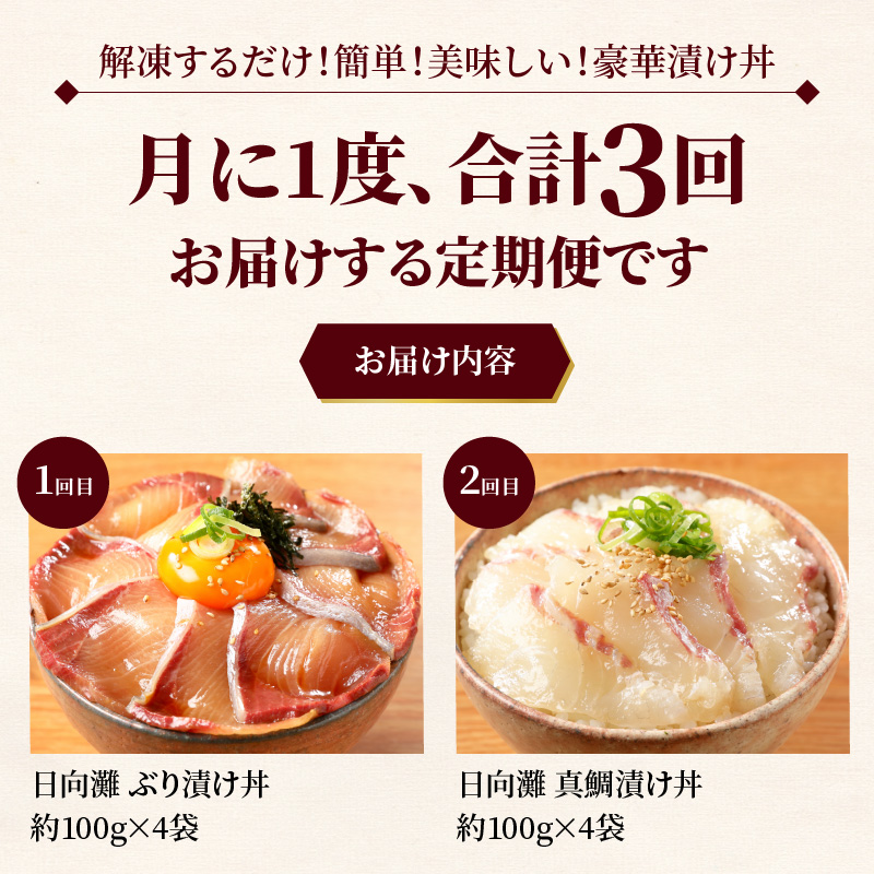 お魚の漬け丼バラエティ3回定期便 N019-YZC515