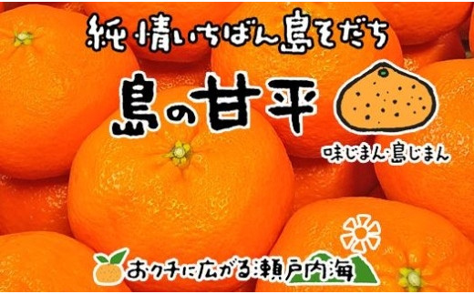 【2月中旬から発送予定】希望の島 甘平(かんぺい) 家庭用 約3kg 愛媛 中島産 おすすめ人気  愛媛県産 みかん 柑橘