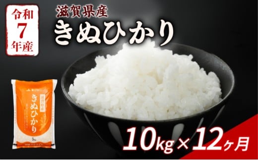 きぬひかり 10kg ( 5kg ×2) 12回定期便 令和7年産 定期便 米 精米 こめ コメ お米 ご飯 米 キヌヒカリ 米定期便 12か月定期便 12ヶ月定期便 12回 12ヶ月 12か月 滋賀 彦根