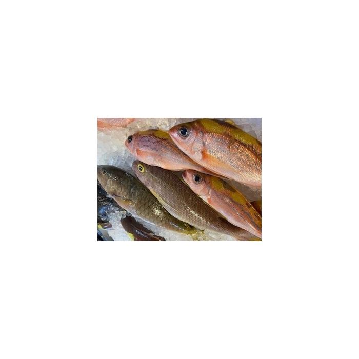 【ふるさと納税】【泊漁港直送】 沖縄美ら海鮮魚4kgセット | 魚 お魚 さかな 食品 人気 おすすめ 送料無料