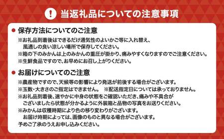 先行予約 スイートスプリング 約4kg 20個前後 2026年12月上旬から2027年1月下旬発送予定 ひでみかん
