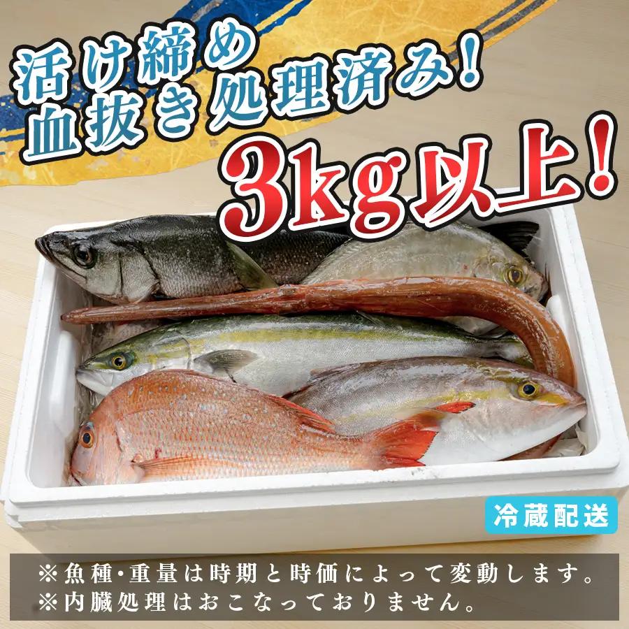 鮮魚 3kg- 鮮魚ボックス 詰め合わせ 刺身 刺し身 さしみ 鮮度抜群 産地直送 高知県産