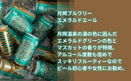 クラフト ビール 飲み比べ 350ml 6本 月岡 クラフト クラフト クラフト クラフト shinbo017