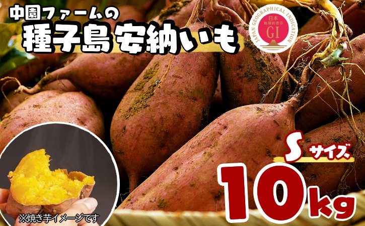 中園ファーム の 種子島 安納いも （生芋） Sサイズ 10ｋｇ　NFN059 【450pt】 // 安納芋 安納いも発祥の地 本場・安納地域産 糖度 熟成期間 G.I 保護制度 ブランド 金賞 生いも 芋 いも さつまいも