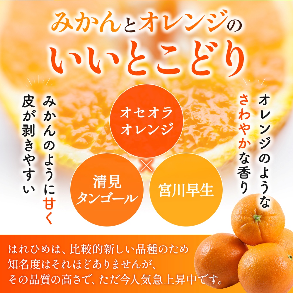 【先行予約】希少種みかん はれひめ 秀品 約5kg (25個～30個) ※2025年12月中旬～2026年2月初旬頃に順次発送予定（お届け日指定不可）/ 和歌山 みかん ミカン はれひめ フルーツ 柑