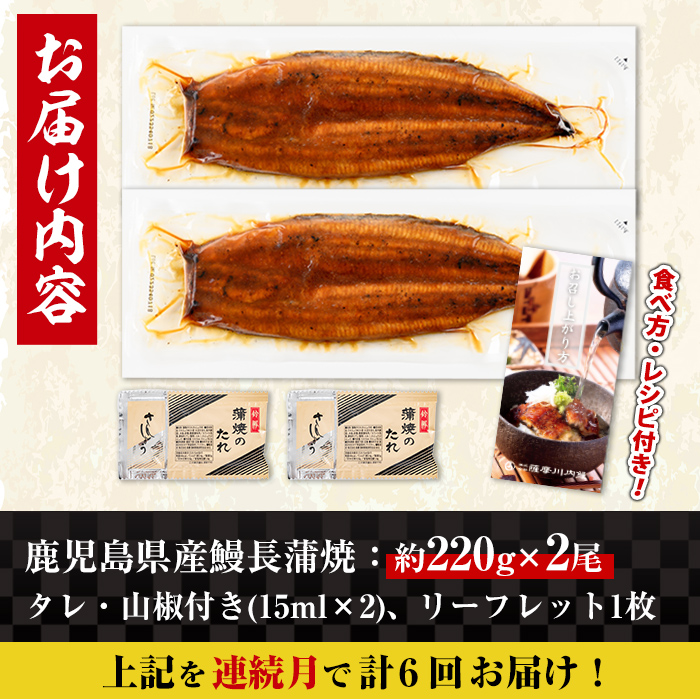 i1173-A ＜定期便・計6回(連続月)＞＼特大サイズ／鹿児島県産 うなぎ蒲焼 2尾セット ＜（約220g×2・計約440g）×全6回＞ 定期便 たれ 山椒付きうなぎ 鰻 ウナギ 特大 特大サイズ 約220g 蒲焼き 国産 鹿児島県産 焼きたて 生産量日本一 真空パック おかず 晩御飯 特別な日  【薩摩川内鰻】