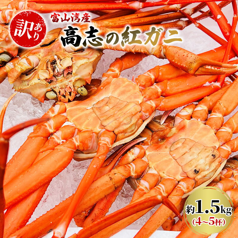【ふるさと納税】【訳あり】富山湾産カニ 高志の紅ガニ お買い得 約1.5kg（4～5杯）富山県黒部市/紅ズワイ カニ 漁師直販 恵比須丸 蟹のむき身 鮮度抜群 風味豊か イベント 集まり お祝い 　お届け：2025年9月中旬～2026年5月下旬