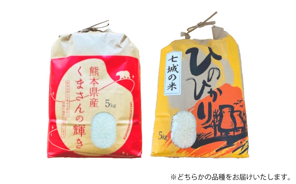 【年3回連続定期便】 【令和7年度産】 熊本県（七城）産のお米 計15kg（5kg×3回） 